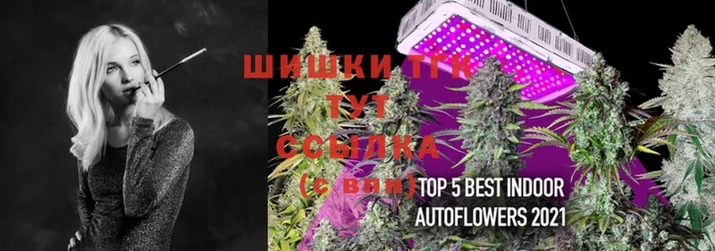 где купить наркоту  Сергач  Бошки Шишки OG Kush 